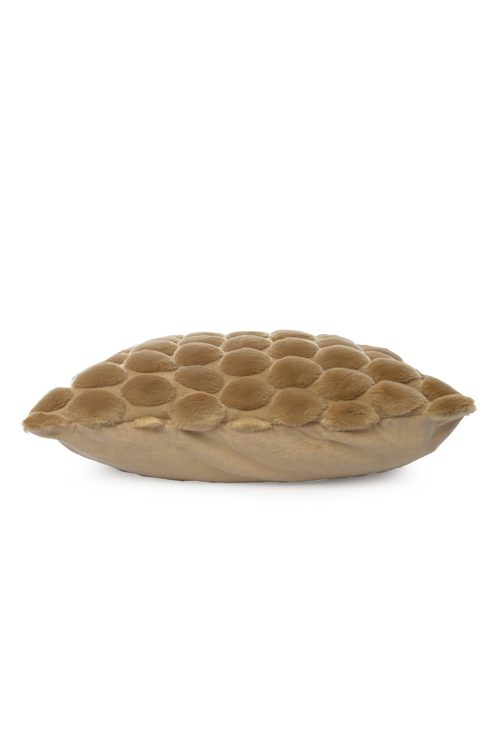 Kuddfodral Egg Collection 50x50 cm, Beige