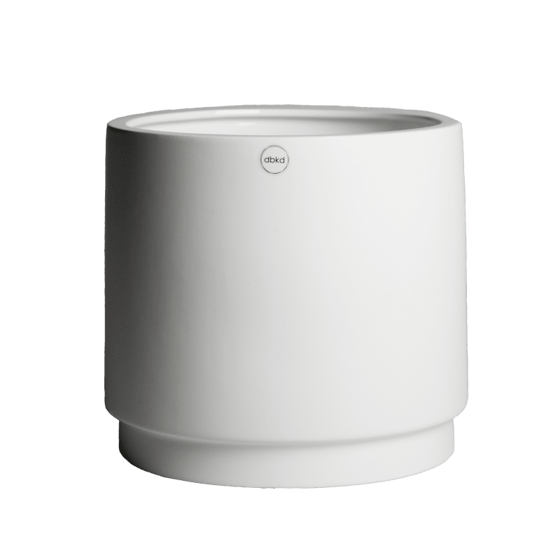 Solid Kruka Mole White, Large