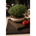 Stiernholm - Maja - Skål