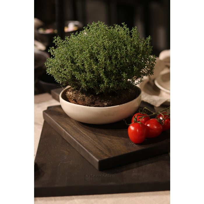 Stiernholm - Maja - Skål