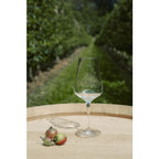 Zwiesel – Bouquet rödvinsglas 2-pack, 48 cl