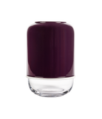 Capsule vas, klar/lila