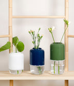 Capsule vas, klar/mörkblå