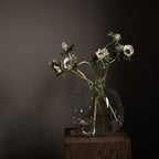 Pebble Vase, Clear Large