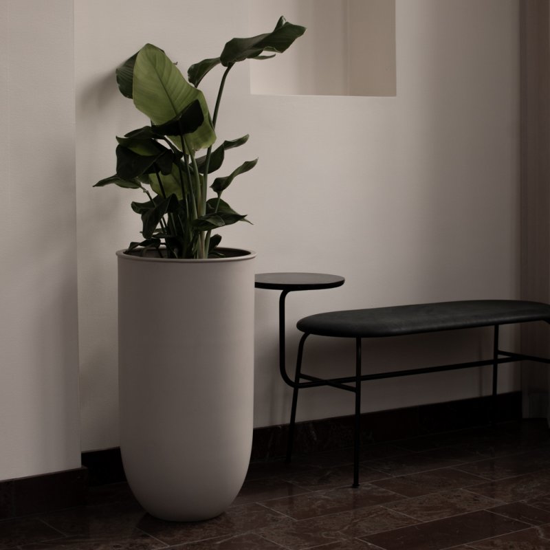 Rise Golvkruka, Mole