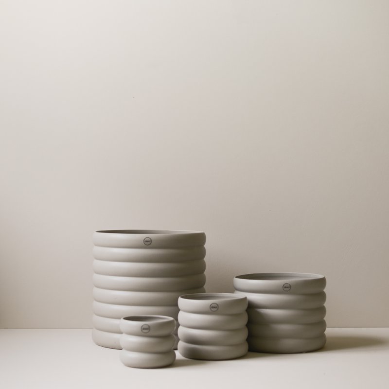 Mud Kruka Mole, Medium