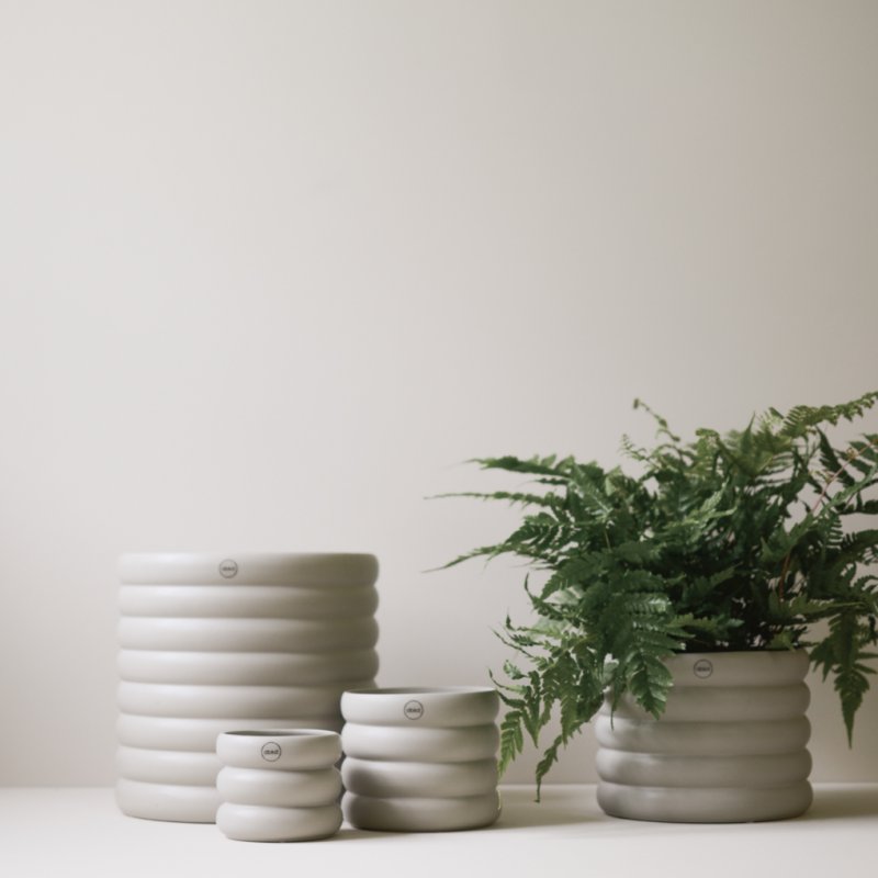 Mud Kruka Mole, Medium