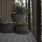 Plant Bowl 2-set, Brun