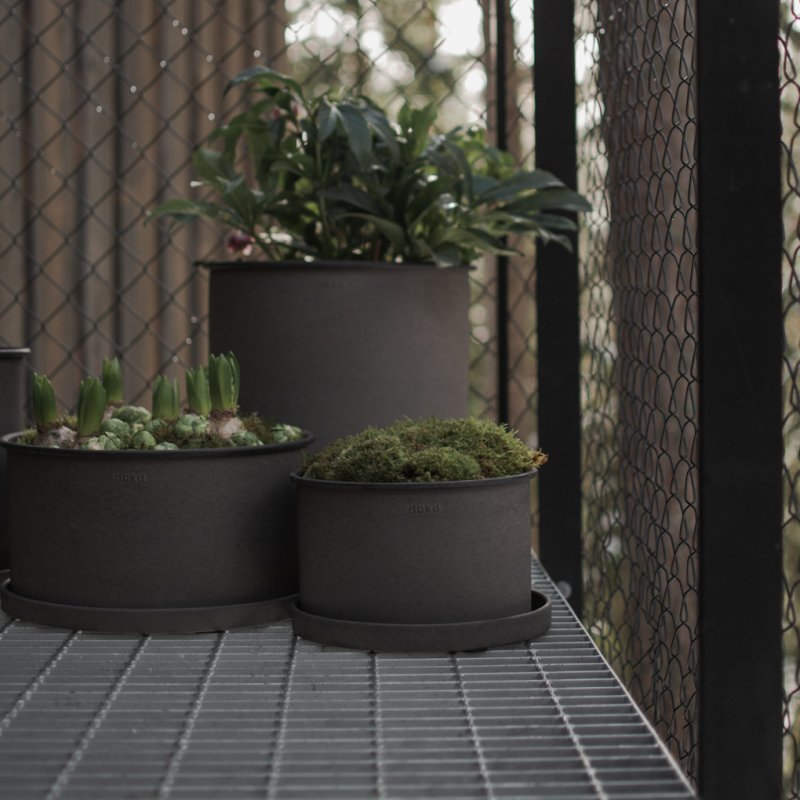 Plant Bowl 2-set, Brun