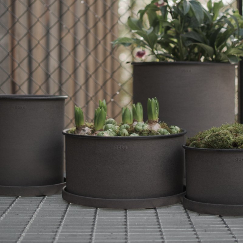 Plant Bowl 2-set, Brun