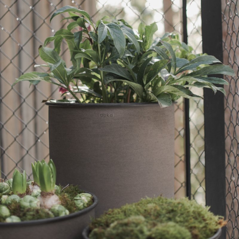 Plant Pot Large 2-set, Brun