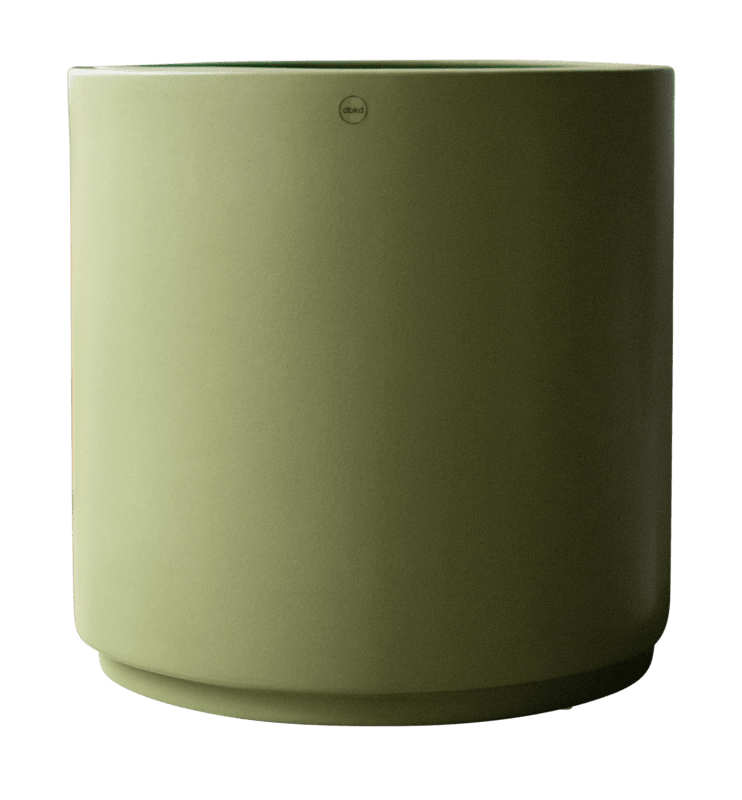 Solid Kruka Green, XL