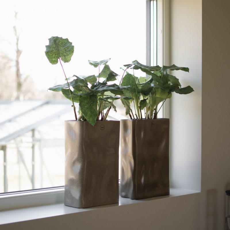 Meadow large - beige