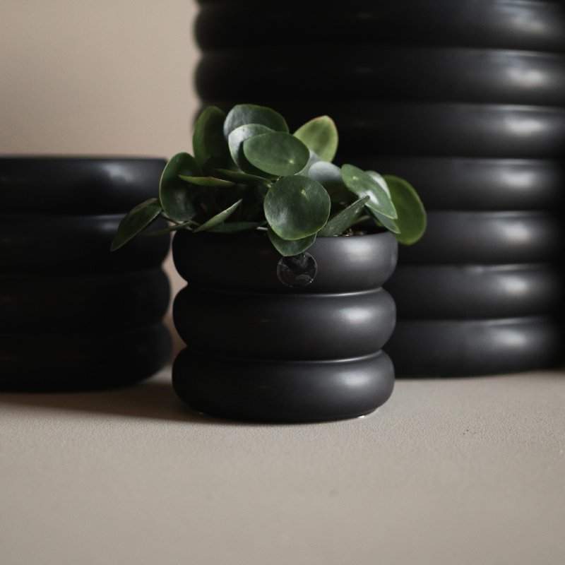 Mud Kruka Black, Small