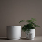 Solid Kruka Mole White, Large