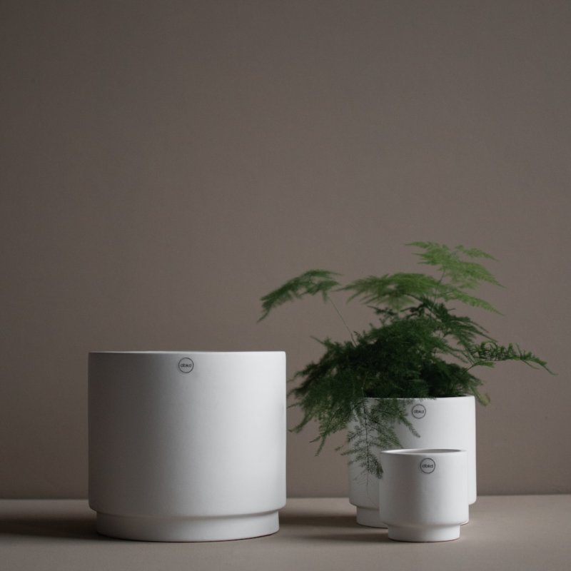 Solid Kruka Mole White, Large