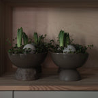 Base Irregular large - dust