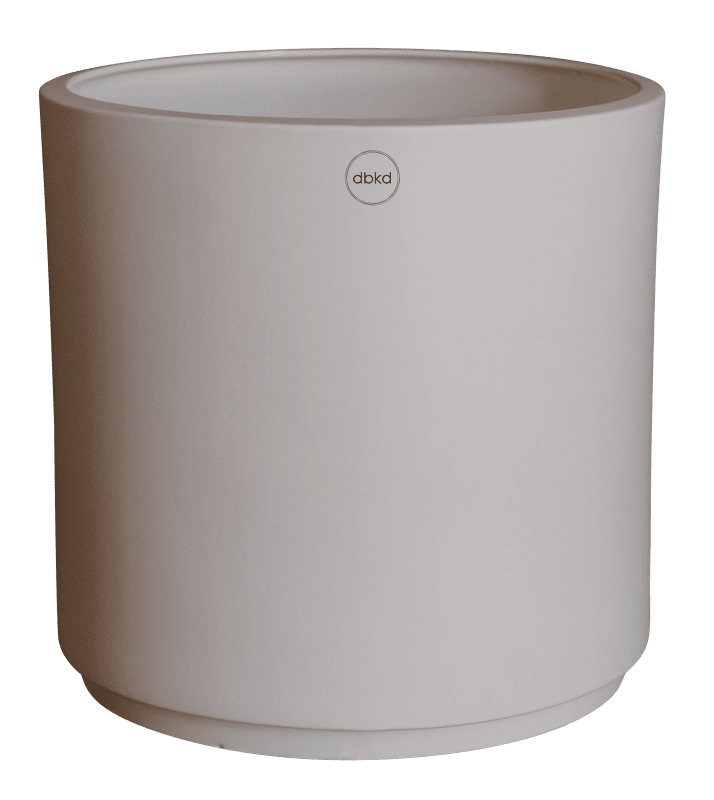 Solid Kruka Mole, XL