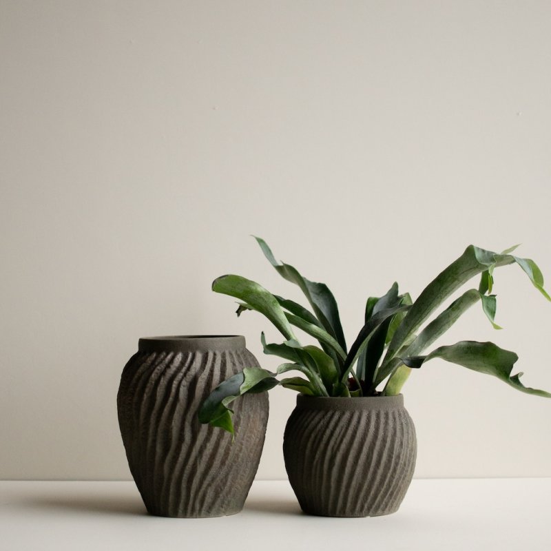 Raw Urna, Sandy Dust Large