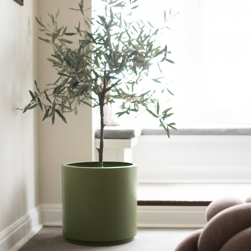 Solid Kruka Green, XL