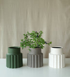 Mylla vas låg, Granit