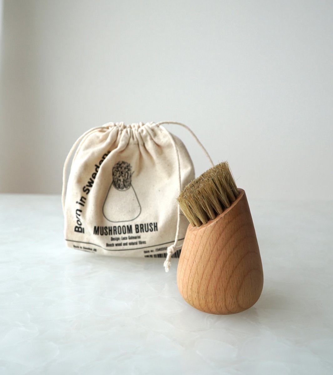 Svampborste i bok och naturfiber