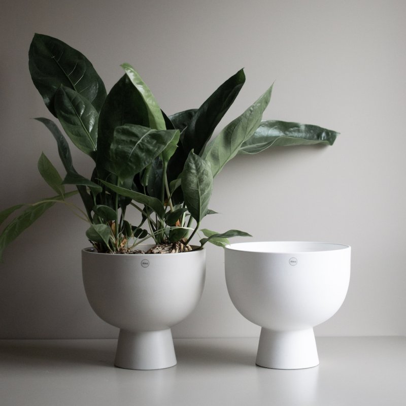 Figure Large - white