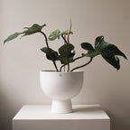 Figure Large - white