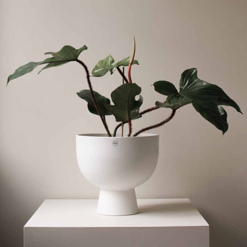 Figure Large - white