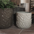 Swoon Kruka Mole, Medium