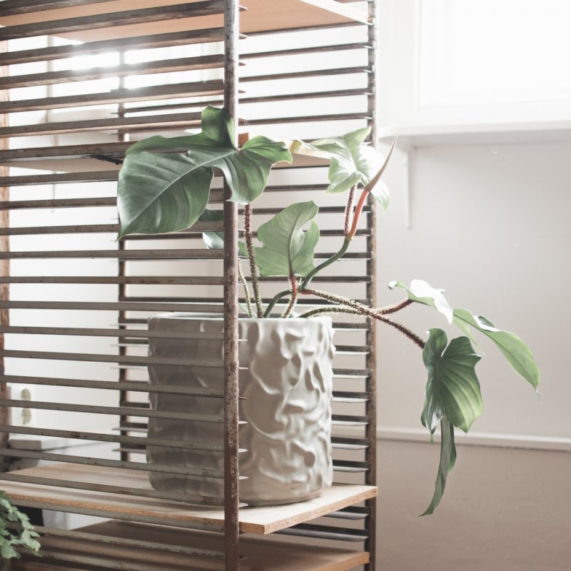 Swoon Kruka Mole, Large