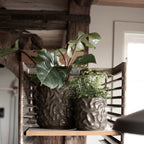 Swoon Kruka Shiny Dust, Medium