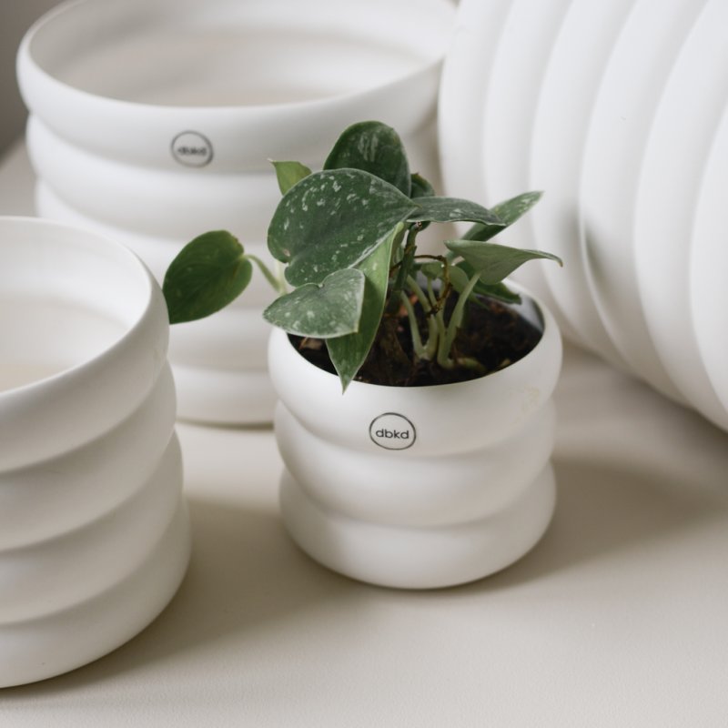 Mud Kruka White, Small