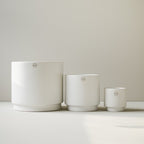 Solid Kruka Mole White, Large