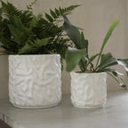 Swoon Kruka Shiny White, Medium