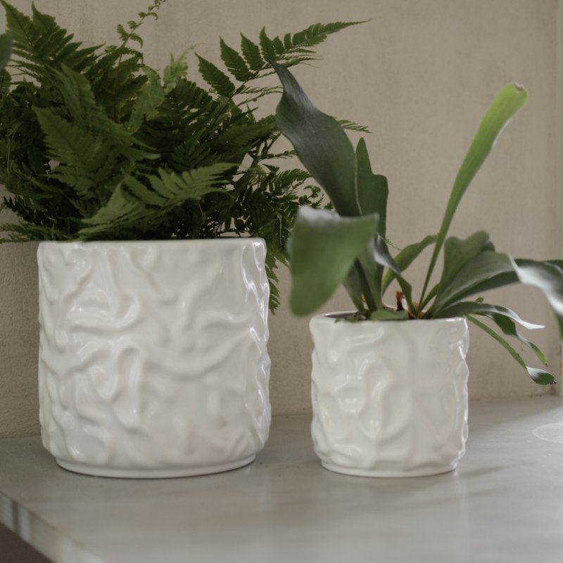 Swoon Kruka Shiny White, Medium