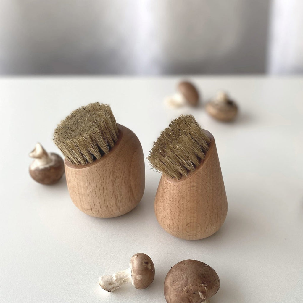 Svampborste i bok och naturfiber